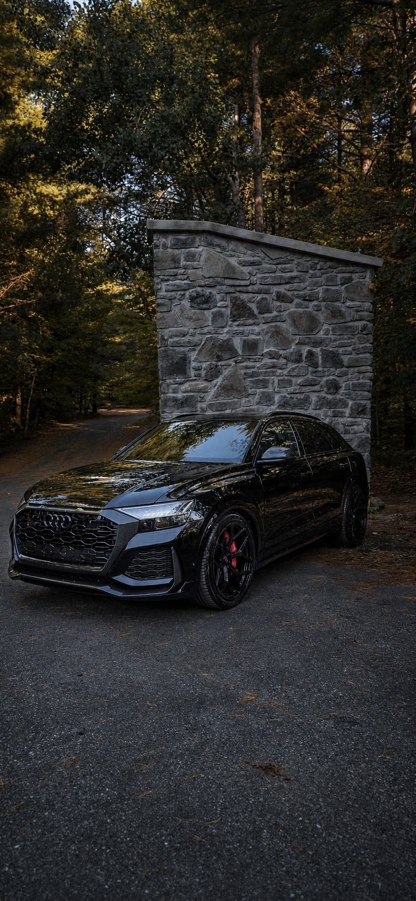 Black Audi RS exterior project photo